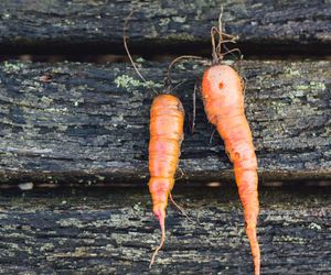 Kennzeichnung für genveränderte Produkte