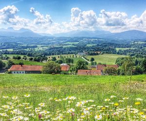 Kommt jetzt die Gentechnik in der Landwirtschaft durch die Hintertür?