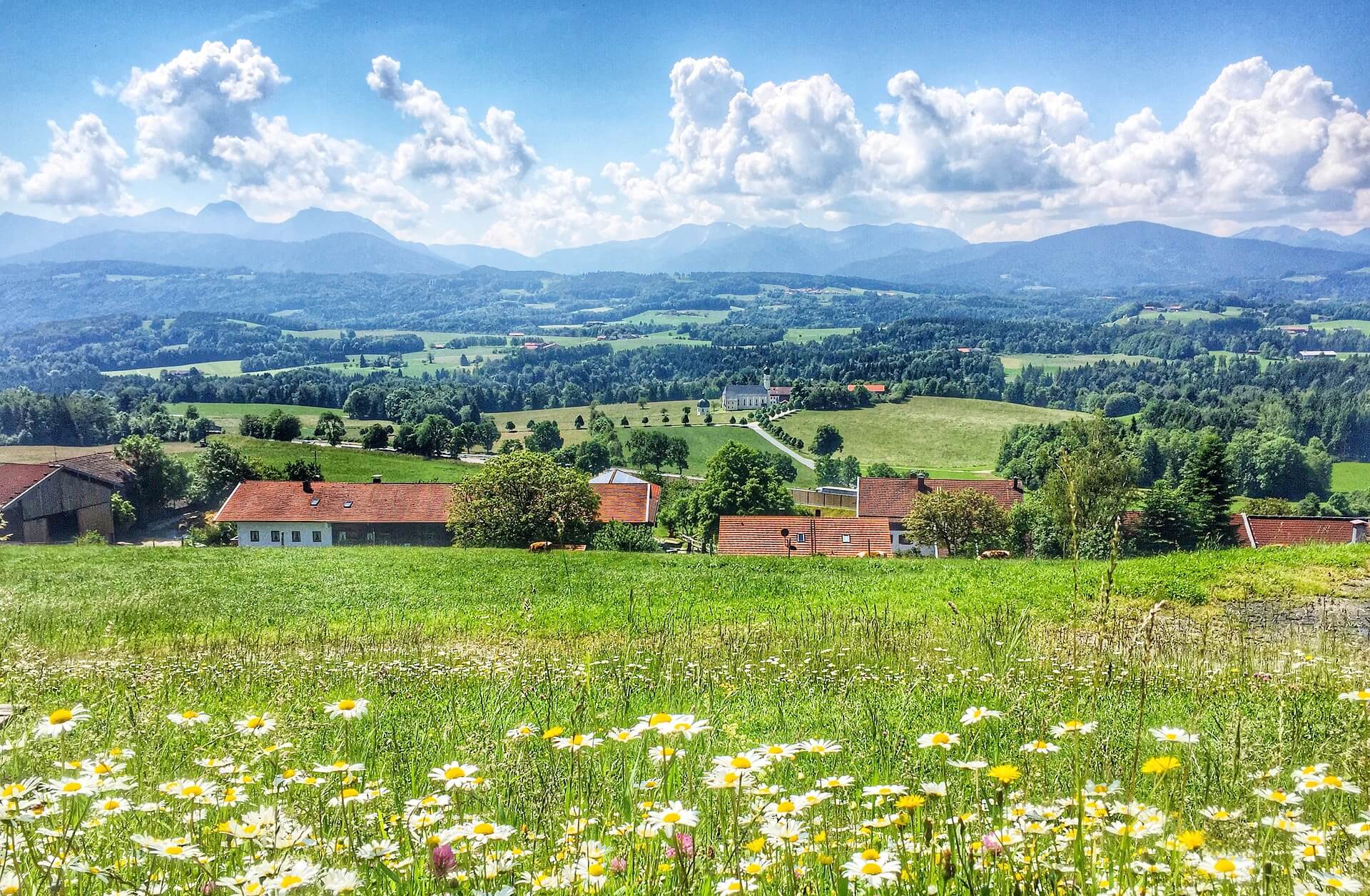 Glyphosatfreier Landkreis Miesbach seit 2017 – Wir sind dabei! – Bild von holzijue auf Pixabay.